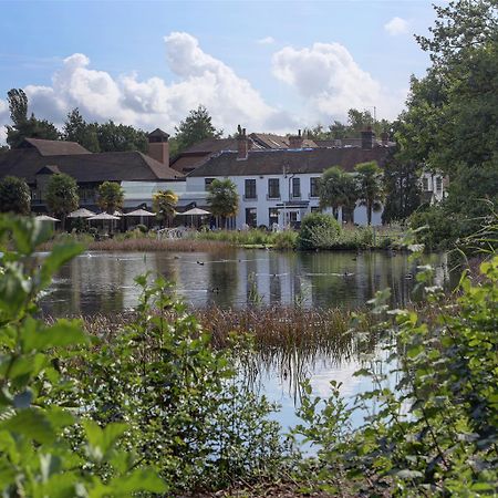 Frensham Pond Country House Hotel & Spa Farnham  Exterior foto