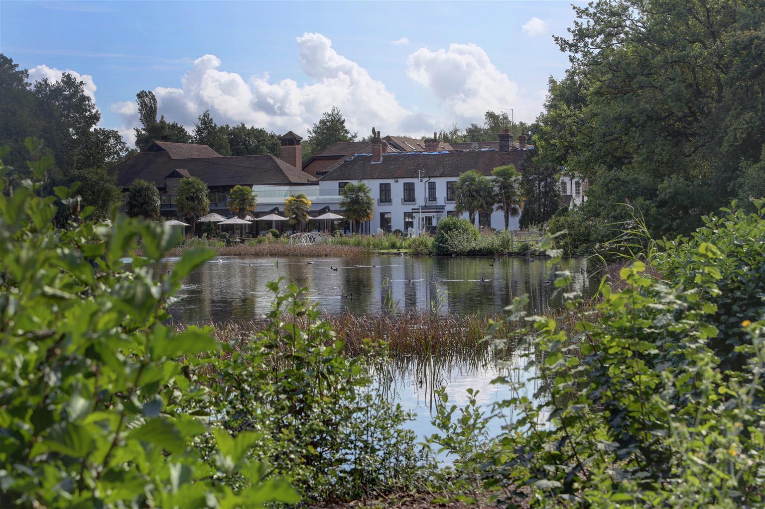 Frensham Pond Country House Hotel & Spa Farnham  Exterior foto